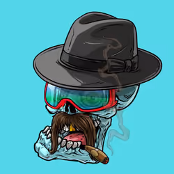 CrazySkull #4093