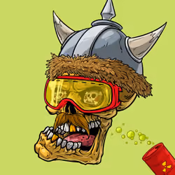 CrazySkull #5808