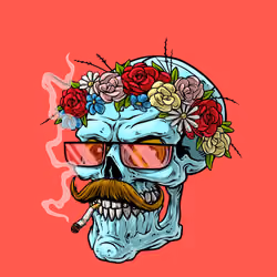 CrazySkull #4291