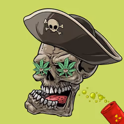 CrazySkull #4936