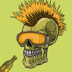 CrazySkull #4735