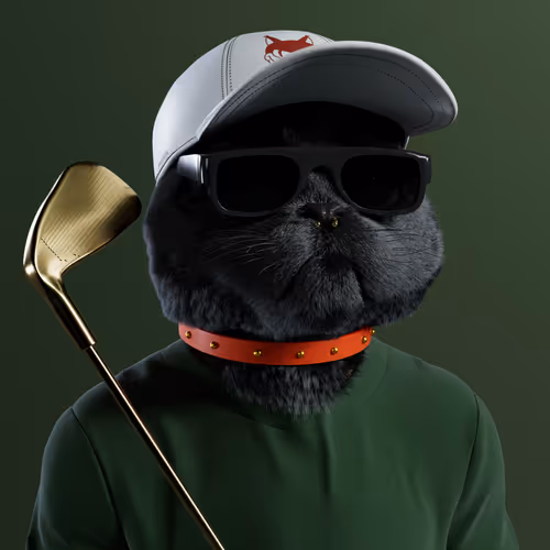 FraktalNFTKitty Crypto Gang