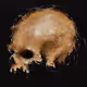 Skull for you
