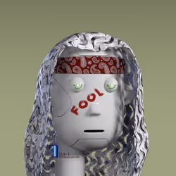 Humanoid #5008