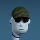 4293