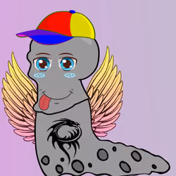 5093