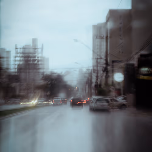 Focus 12