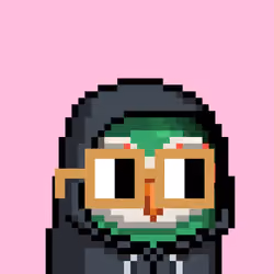 Nounbird #4496