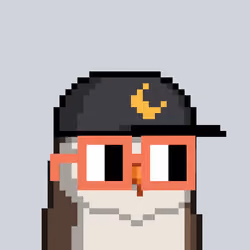 Nounbird #6022