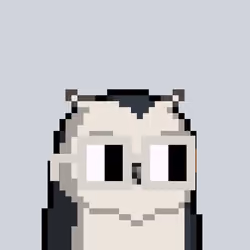Nounbird #5162