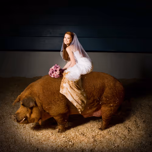 A Life Less Ordinary V2