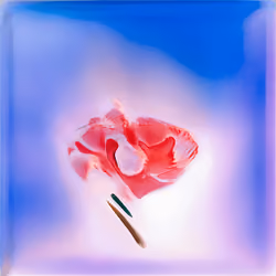 Artsquare #107 by Gallery0.org