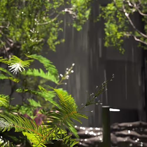 Monsoon Garden #16/25