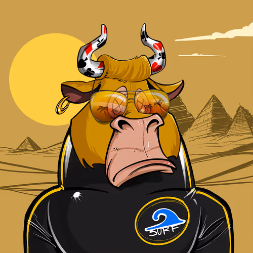 Bullsontheblock