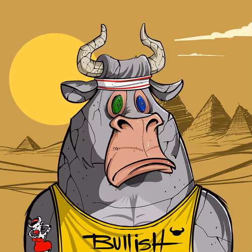 Bullsontheblock