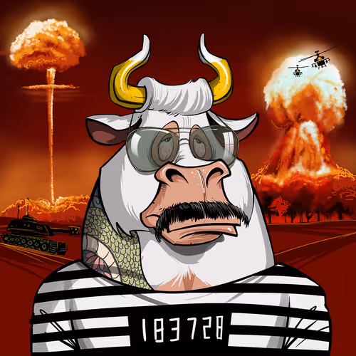 Bullsontheblock