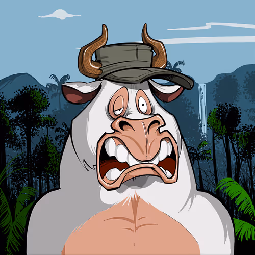 Bullsontheblock