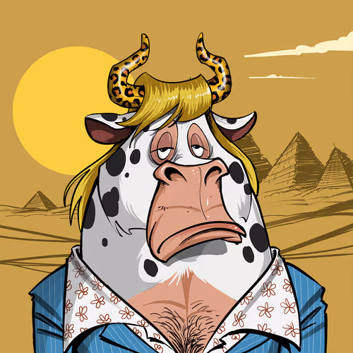Bullsontheblock