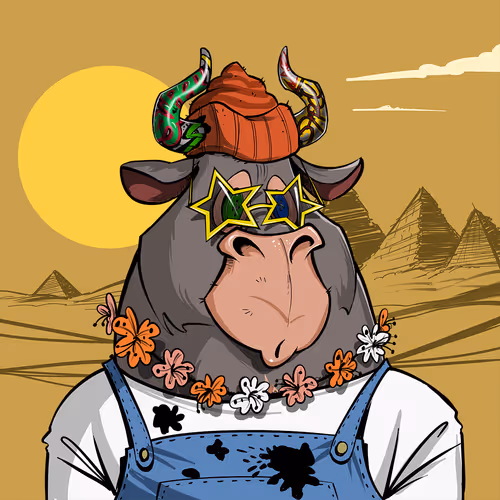 Bullsontheblock