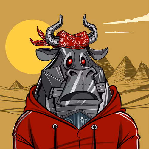 Bullsontheblock