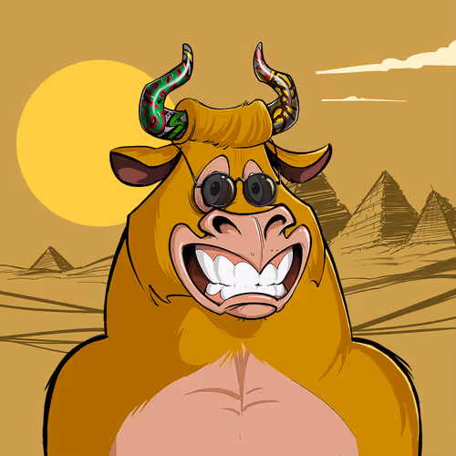 Bullsontheblock