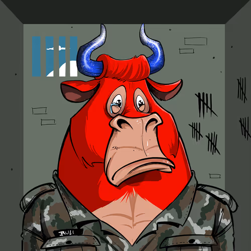 Bullsontheblock