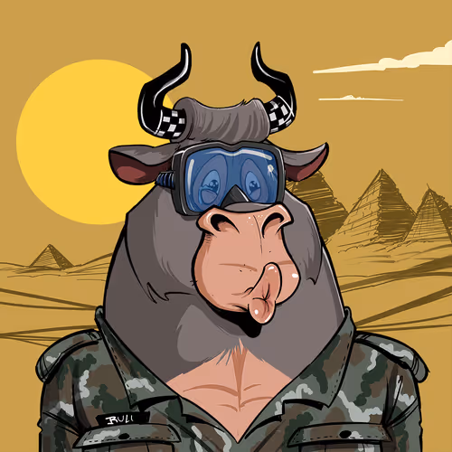 Bullsontheblock