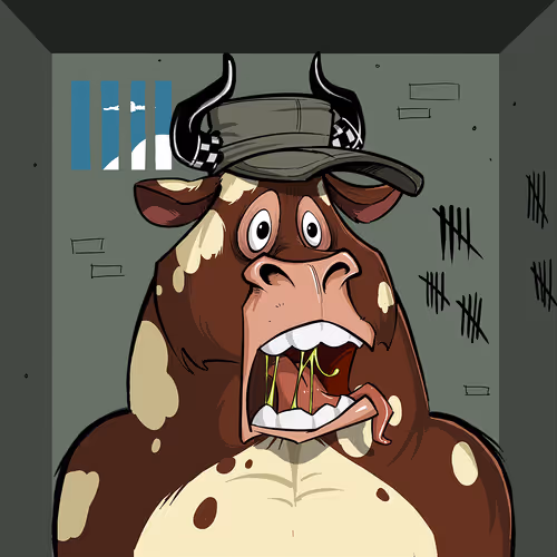 Bullsontheblock
