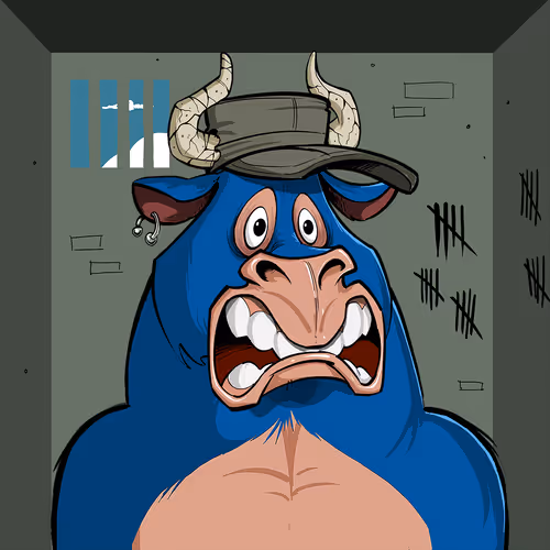 Bullsontheblock