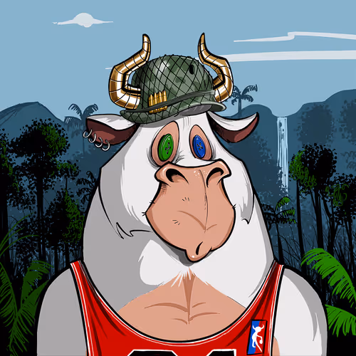 Bullsontheblock