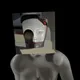 8117