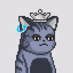 Royal King Cats #158