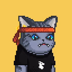 Royal King Cats #446