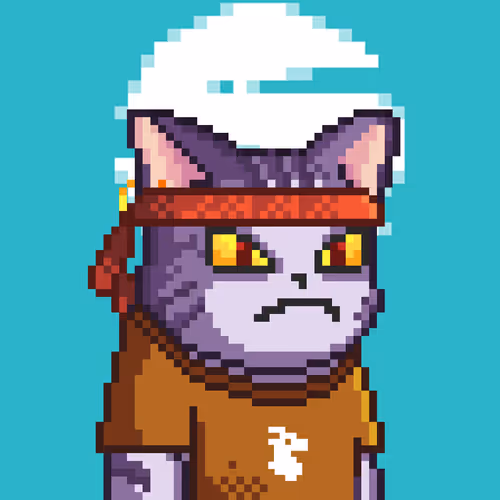 Royal King Cats V2