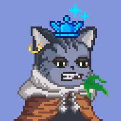 Royal King Cats #612