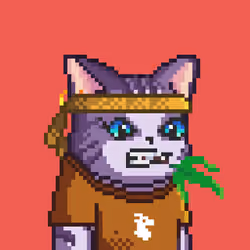 Royal King Cats #842