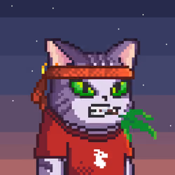 Royal King Cats #813
