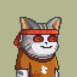 Royal King Cats #469
