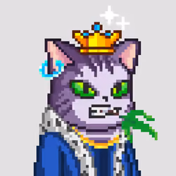 Royal King Cats #145