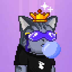 Royal King Cats #637