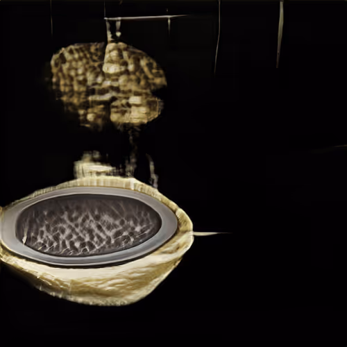 Fountain 0000376