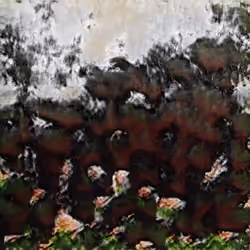 Fountain 0000465