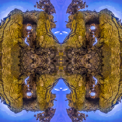 CΞNTERΞD