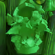 41701