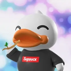 B.Duckling #295