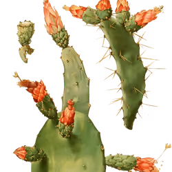 SLIMESHOP - Floating Cactus - #3190