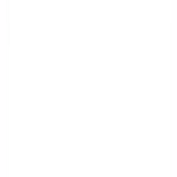 SLIMESHOP - Simple White Border - #1508