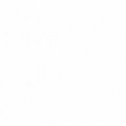 SLIMESHOP - Heavy Dust & Scratches - #2351