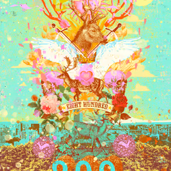 204