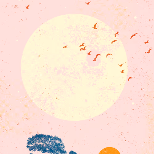 FIELD MOON